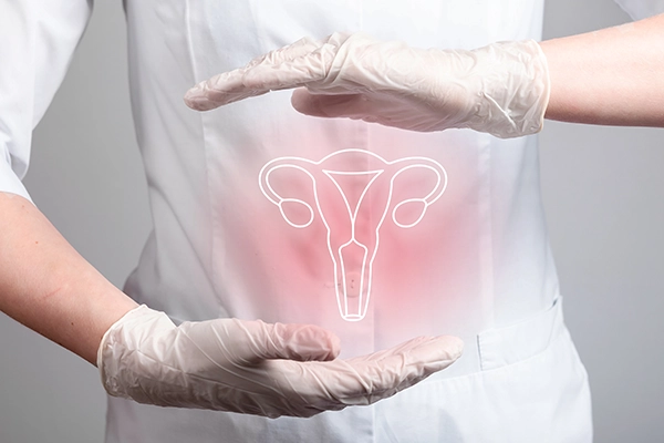 LEEP Nedir? İşlem Süreci ve Sonrası