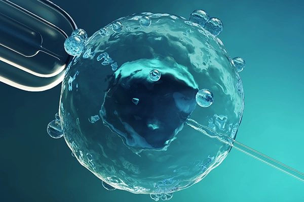 Tüp Bebek Nedir? Tüp Bebek Nasıl Olur ve Nasıl Yapılır?